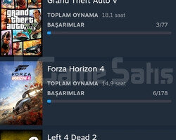 Steam hesabı ETS 2 FORZA 4 BeamNG GTA V  +14