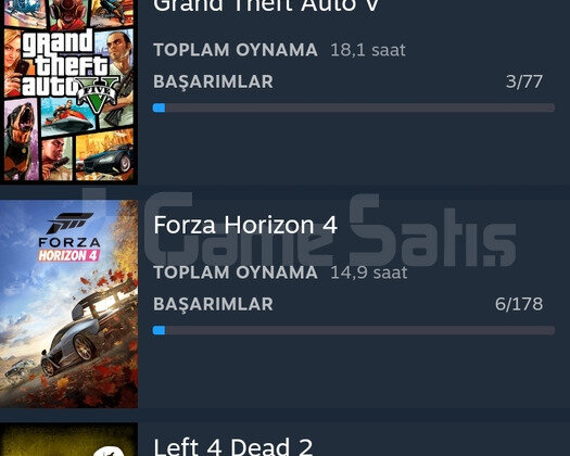 Steam hesabı ETS 2 FORZA 4 BeamNG GTA V  +14