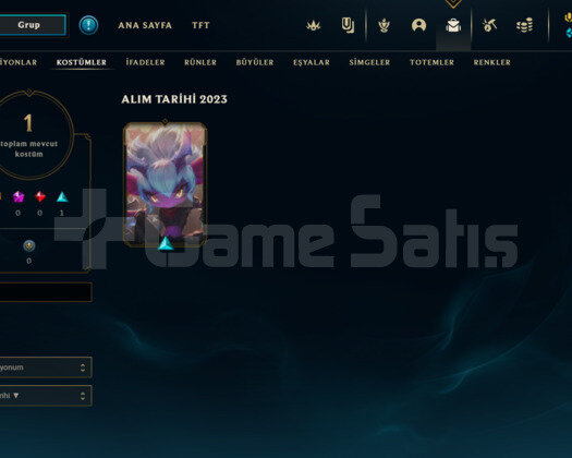 TR  YENİ SEZON PLAT4 ADC MAİN HESABI