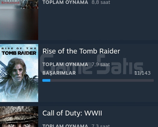 Steam Hesap Assassins Creed Odyssey ETS2 NfsPybck