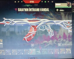 Skinli Hesap