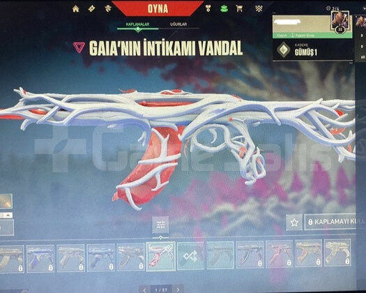 Skinli Hesap
