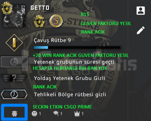 CSGO PRIME | 2 MADALYA | YESIL FAKTOR + ETS2
