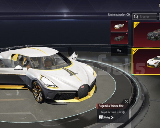 2 ADET BUGATTİ VE MASKARA 5
