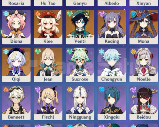 EU/AR58 25X5 130+ Gün Welkin + Rate Up