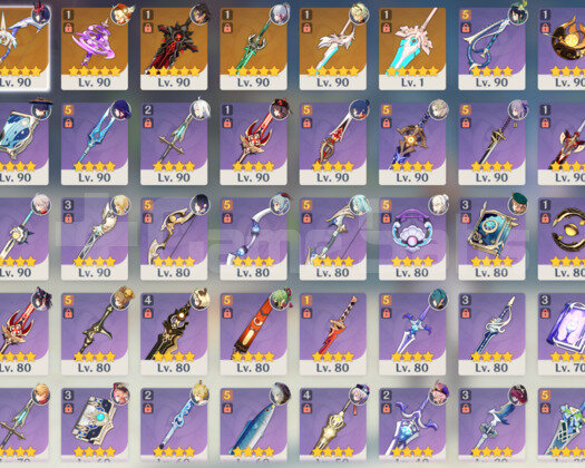 EU/AR58 25X5 130+ Gün Welkin + Rate Up