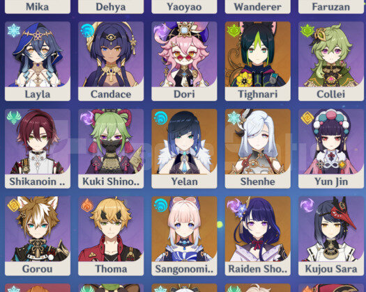 EU/AR58 25X5 130+ Gün Welkin + Rate Up