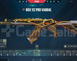 RGX VANDAL/ASİL/PROTOKOL E-POSTALI HESAP