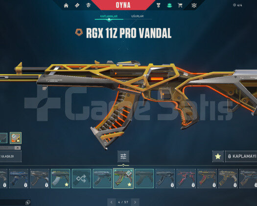 RGX VANDAL/ASİL/PROTOKOL E-POSTALI HESAP