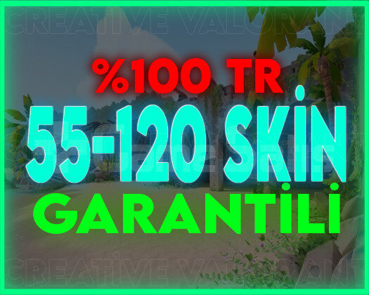 TR SUNUCU / 55-120 SKİN / ÖZEL STOK + GARANTİ
