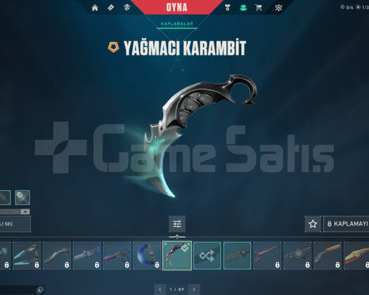 YAĞMACI KARAMBT/ YAĞMACI VANDAL E-POSTA HESAP