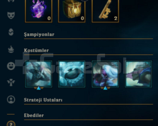 FLEX GOLD 1 GÜZEL KOSTÜMLÜ