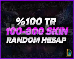 özel ilan 100 skin