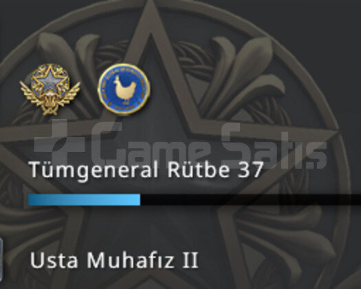 2 MADALYALI & 37 LEVEL & 468 SAATLİ & MG2 RANK &