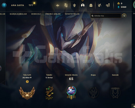 TR Gold 4 | 10 Kostüm - 49 Hero | LoL Hesap