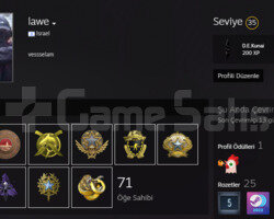 10 ROZETLİ MANLİK CSGO HESABI