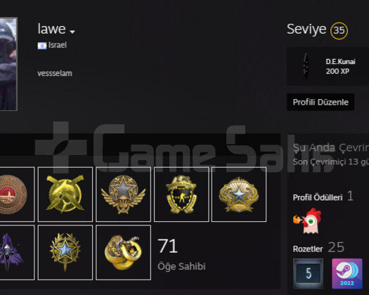 10 ROZETLİ MANLİK CSGO HESABI
