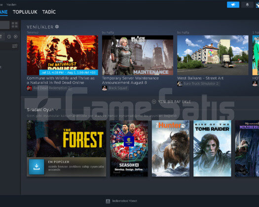 27 Seviye Bol Oyunlu Steam Hesabı