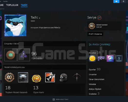 27 Seviye Bol Oyunlu Steam Hesabı