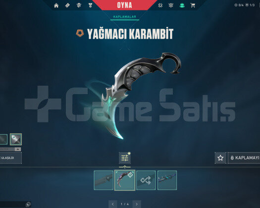 YAĞMACI KARAMBİT VE KAOS VANDAL E-POSTALI HESAP