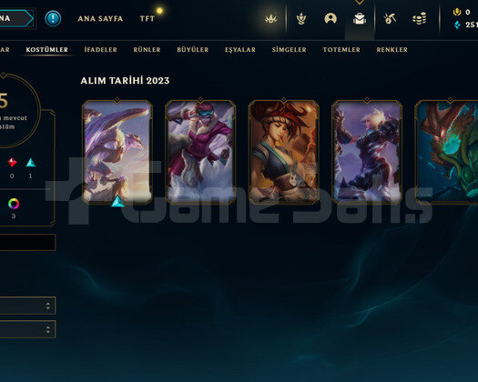 TR Plat 4 | 5 Kostüm - 23 Hero | LoL Hesap
