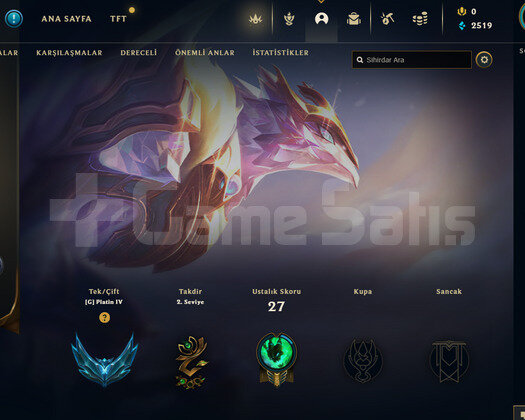 TR Plat 4 | 5 Kostüm - 23 Hero | LoL Hesap