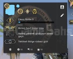 CS 2 ERİŞİM DAVETLİ & 3 MADALYALI & SUPREME RANK &