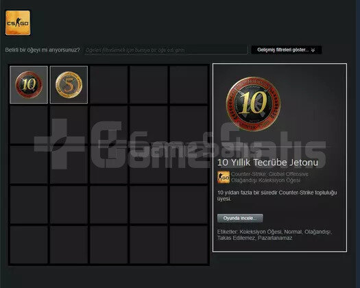 10+5 YIL JETON +18 YIL İLK MAİL STEAM