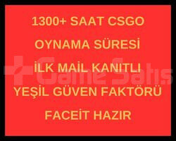 1300 Saat Csgo + İLK MAİL