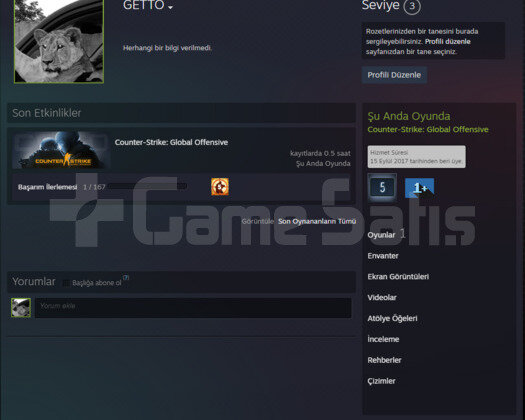 2 MADALYA | PRIME CSGO | MAGAZA TR YESIL FAKTOR