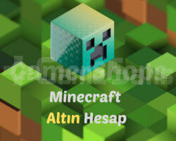 Minecraft Altın Hesap