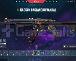 YAĞMACI KARAMBİT VE KAOS VANDAL E-POSTA HESAP