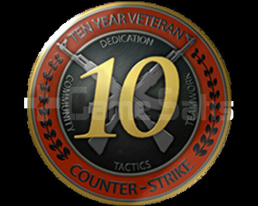 10 + 5 YIL TECRÜBE JETONLU MAĞAZA TR CSGO HESAP