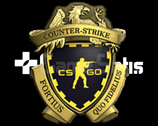 2 MADALYA | CSGO PRIME | MAGAZA TR YESIL FAKTOR