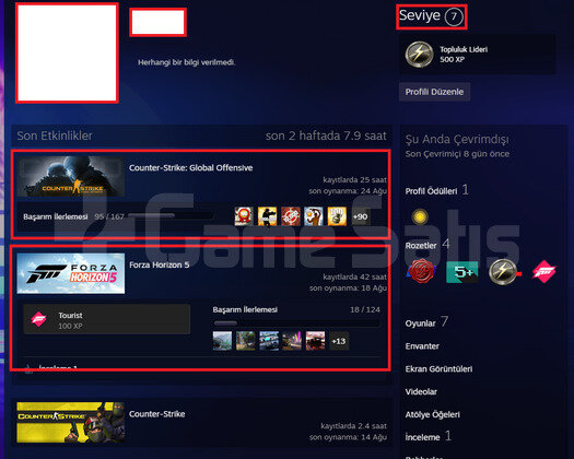 FORZA 5 Lİ YEŞİL FAKTÖR TÜRK HESABI