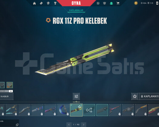 RGX PRO KELEBEK VE İYON VANDAL E-POSTA HESAP