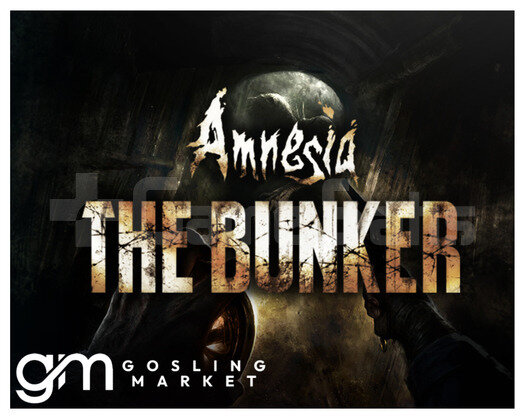 Amnesia The Bunker + Garanti