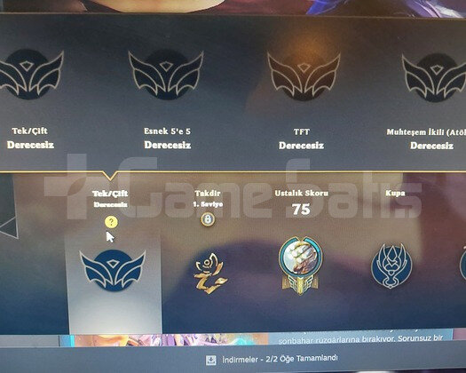 Lol 40+ level 10 kostümlü hesap