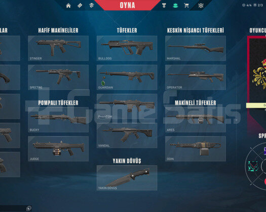 ELMAS 1 YÜKSEK MMR MAİNLEMEİK HESAP MAİLLİ!!