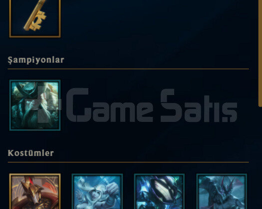 TR PLAT 3 63 LP 17 KOSTUM MAİNLİK HESAP