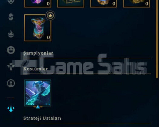 TR PLAT 3 13 KOSTUM MAİNLİK HESAP