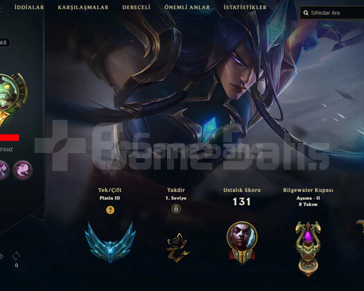 TR PLAT 3 13 KOSTUM MAİNLİK HESAP