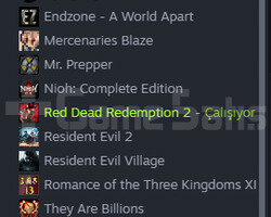 RDR 2 + Daha Fazlası !