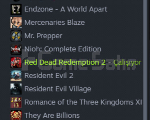 RDR 2 + Daha Fazlası !
