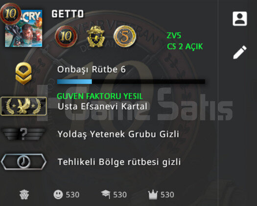 CSGO PRIME RANK ACIK LEM YEŞİL FAKTÖR + CS2 AÇIK