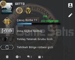 CS2 + CSGO PRİME RANK AÇIK 2 MADALYA YEŞİL FAKTÖR