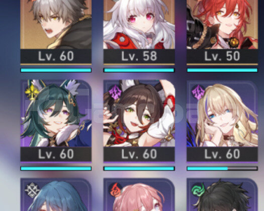 TL53 Seele,T1 Luocha,Welt,Clara,Himeko 6x5