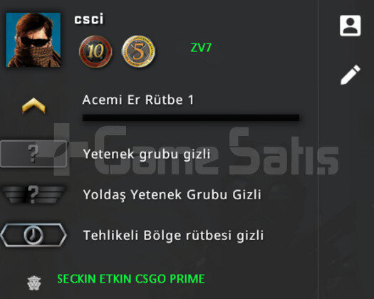 10 + 5 YIL JETONLU YEŞİL FAKTÖR CSGO PRİME HESAP
