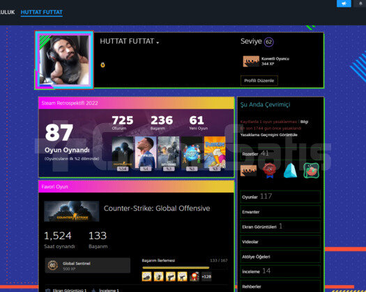 STEAM ULTRA HESAP 100 OYUN