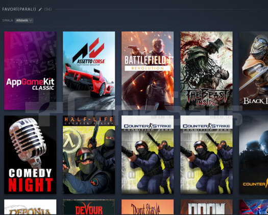 STEAM ULTRA HESAP 100 OYUN